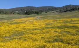 image of a reserve