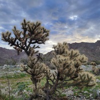 picture of reserve personnel